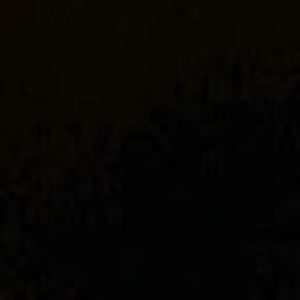 Meet your Posher, Alan